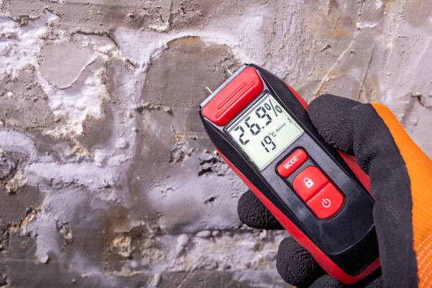 Best Mold Testing  in Rahway, NJ