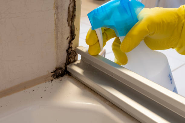 Best Crawl Space Mold Removal  in Rahway, NJ