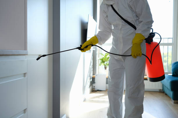 Mold Removal and Inspection in Rahway, NJ