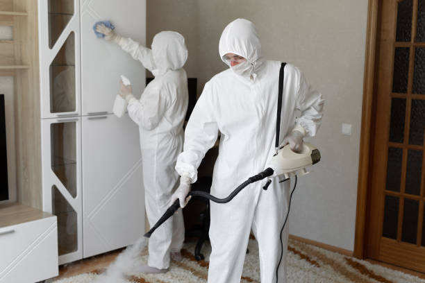 Attic Mold Removal in Rahway, NJ