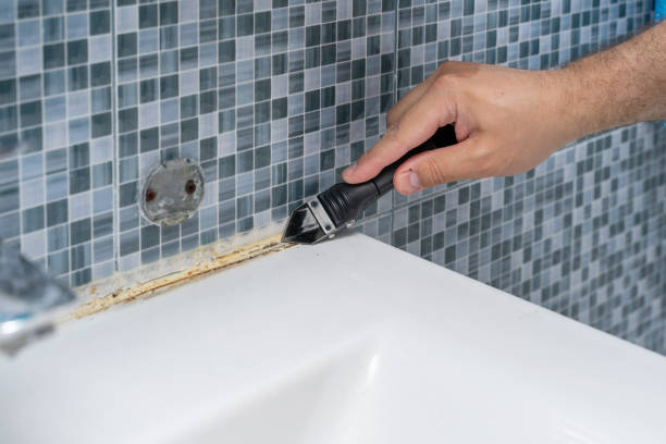 Best Local Mold Removal Service  in Rahway, NJ